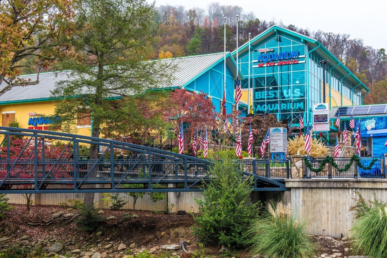 Lazy Cub Lodge Pigeon Forge Eksteriør bilde